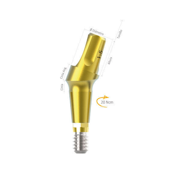 Imagen de MUÑON ANGULADO IDEALE 3.3 X 6 X 1.5 17º