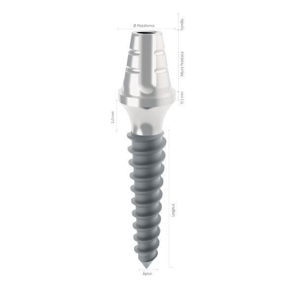 Imagen de IMPLANTE SLIM PILAR 2.5 X 6 X 11.5